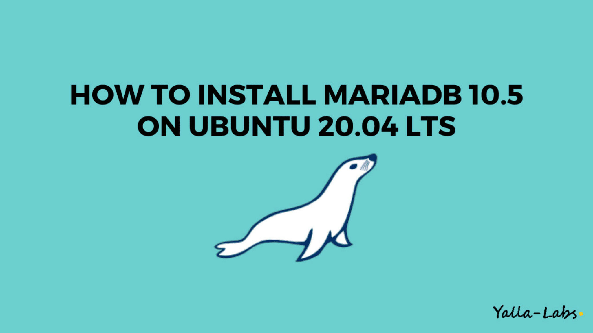 Comment Installer MariaDB Sur Debian Ubuntu