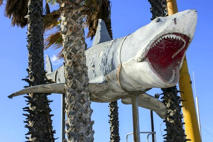 Examen De Shark Navigator Zero M. Pour Les Monstres Soignes